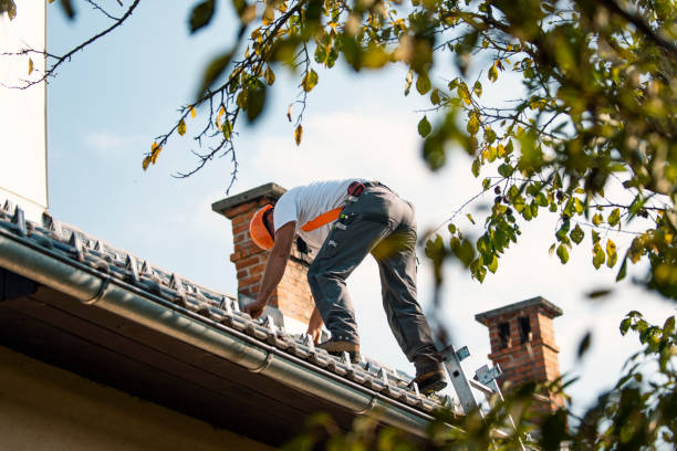 Best Emergency Roof Repair  in Alexandria, MN