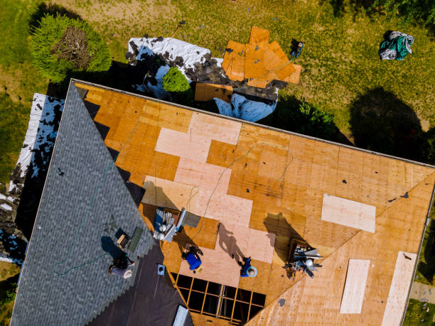 Best Roof Gutter Cleaning  in Alexandria, MN