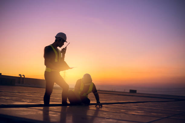 Best Sealant for Roof  in Alexandria, MN