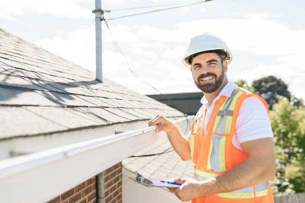 Best Roof Leak Repair  in Alexandria, MN