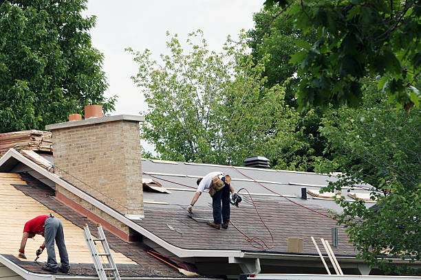 Best Storm Damage Roof Repair  in Alexandria, MN