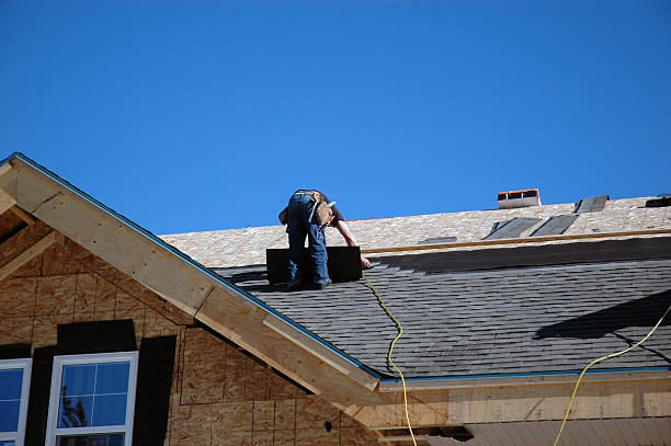 Best New Roof Installation  in Alexandria, MN